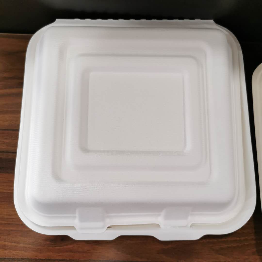 Biodegradable Food Containers Disposable Takeaway Pla Lunch Box